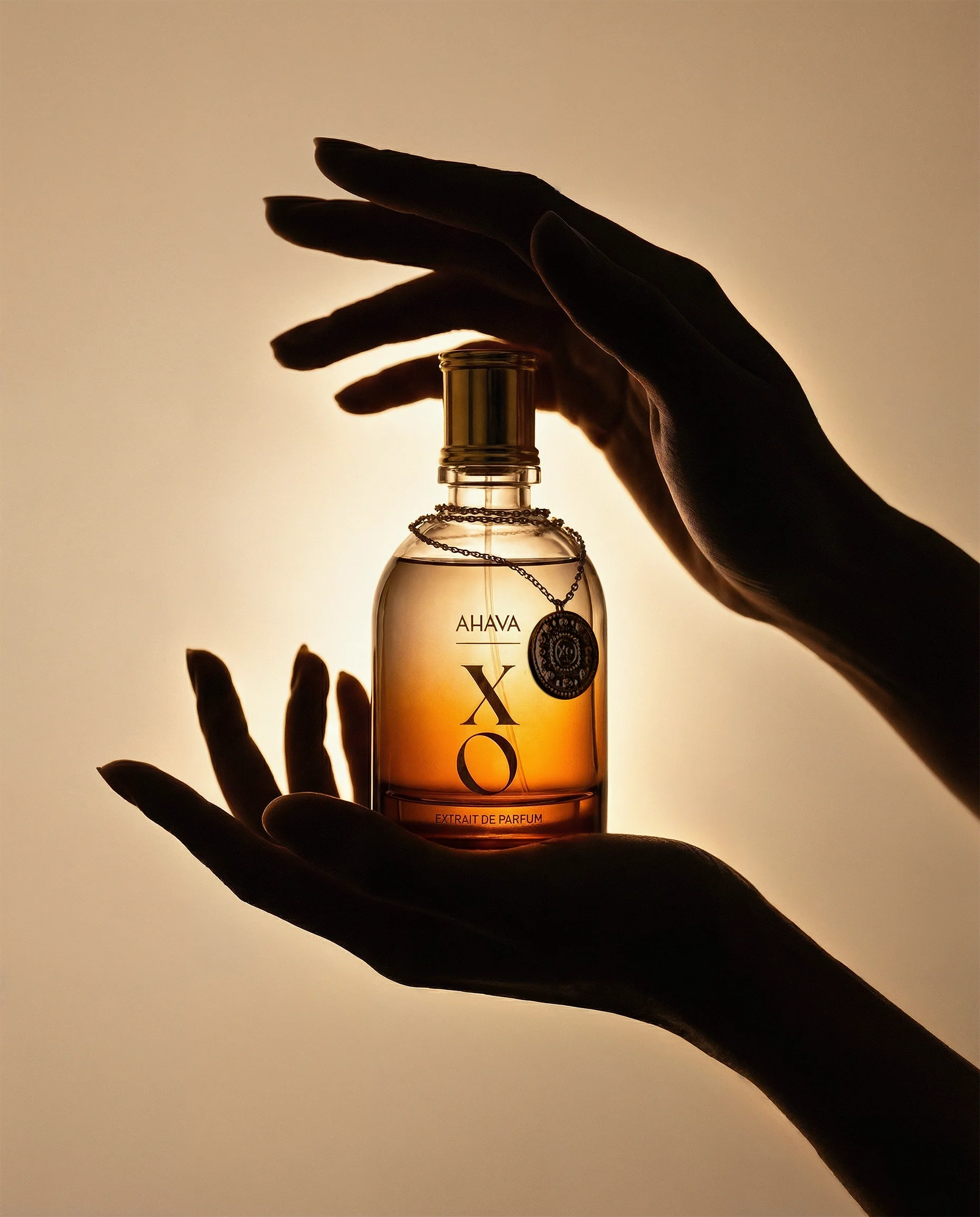 XO EXTRAIT DE PARFUM - Image 3